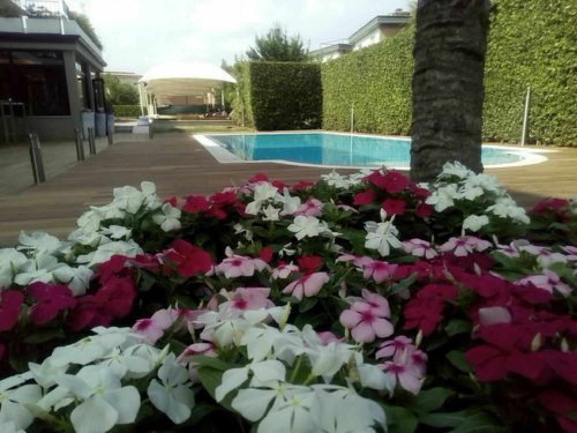 Hotel Palazzo Del Garda & Spa Дезенцано-дель-Гарда Экстерьер фото